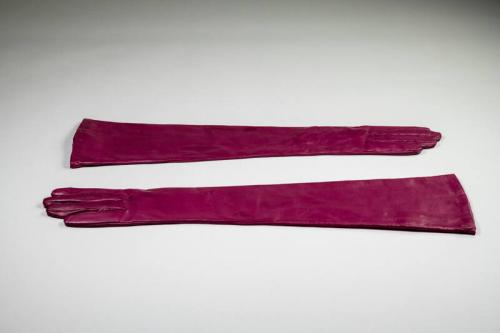 Fuchsia Gloves