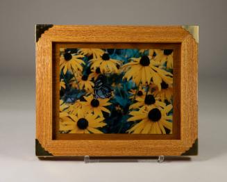 Framed Photograph of Flowers and Bird