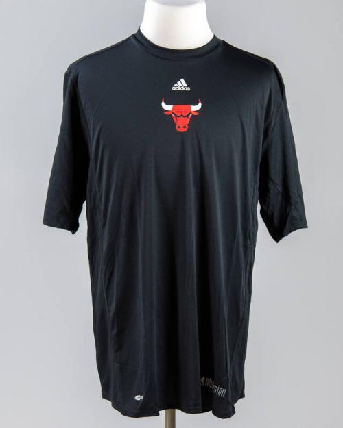 Chicago Bulls