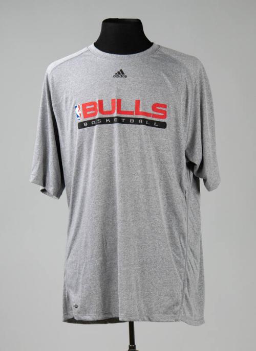 Gray Chicago Bulls T-Shirt