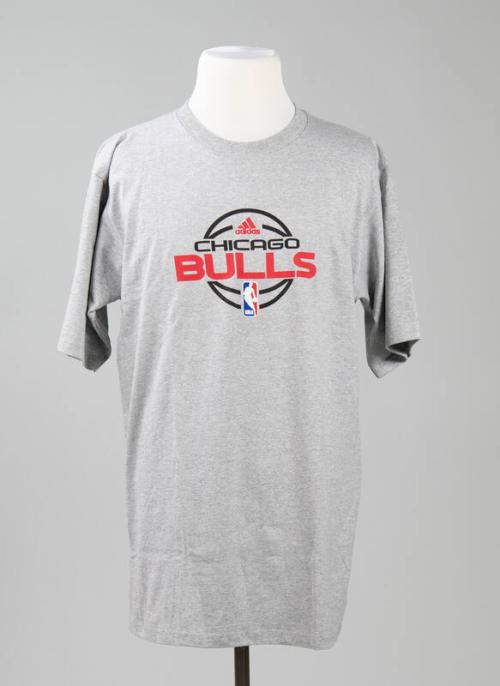 Gray Chicago Bulls T-Shirt