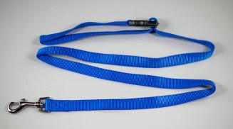 Blue Nylon Leash