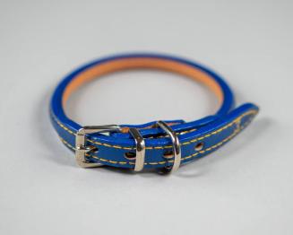 Blue Leather Collar