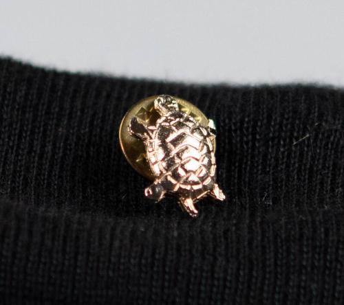 Gold Turtle Pin