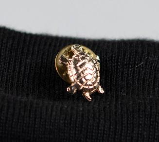 Gold Turtle Pin