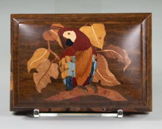 Scarlet Macaw Trinket Box