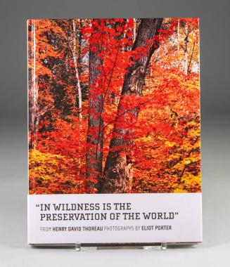 In Wildness is the Preservation of the World