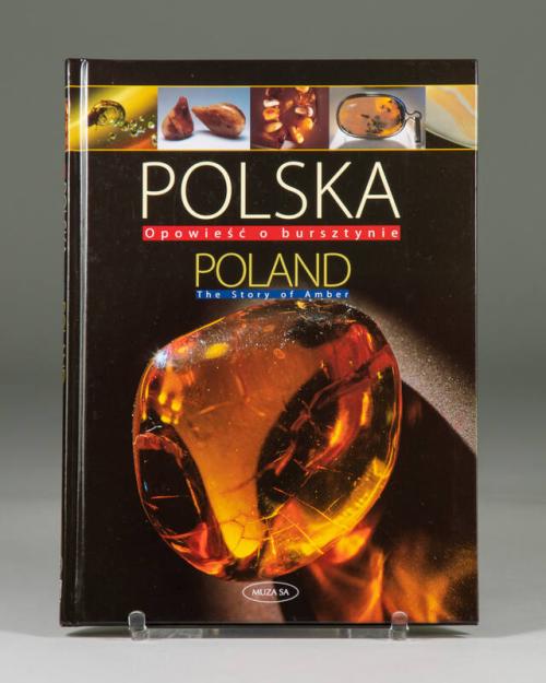 Poland the Story of Amber