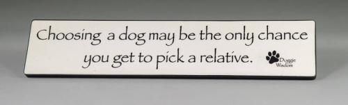 Novelty Wall Sign