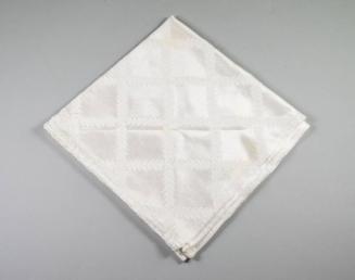 Cloth Napkin