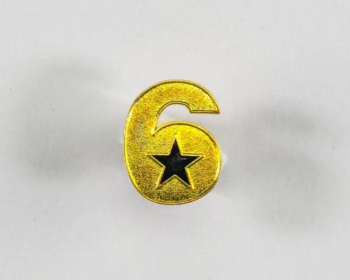 Got Your 6 Pin