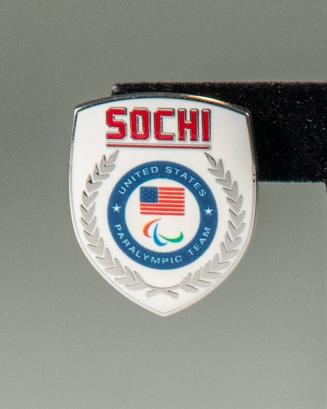Sochi Paralympics Pin