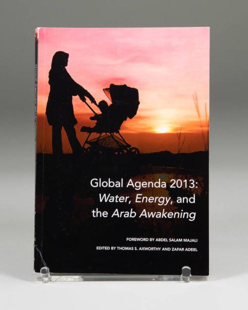 Global Agenda 2013: Water, Energy, and the Arab Awakening