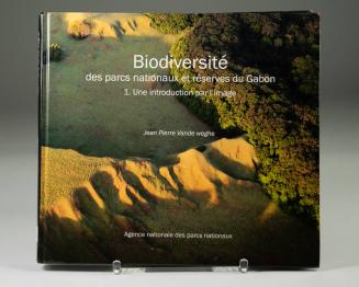 Biodiversité: Des Parcs Nationaux Et Réserves Du Gabon