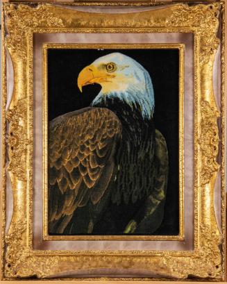 American Bald Eagle Woven Art