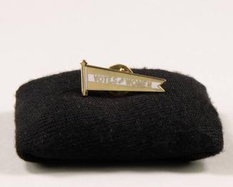 Votes For Women Pin