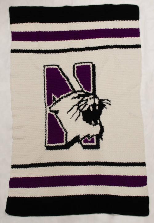 Northwestern University Crocheted Blanket