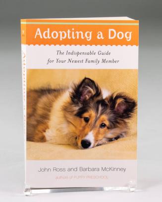 Adopting a Dog: The Indispensable Guide for Your Newest Family Member