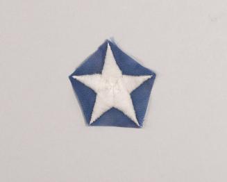 Star from a Decommissioned US Flag