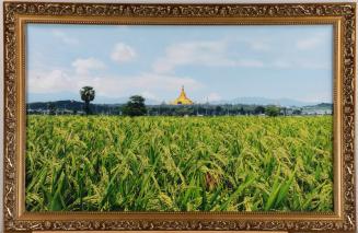 Framed Photograph of a Pagoda and Rice Paddy