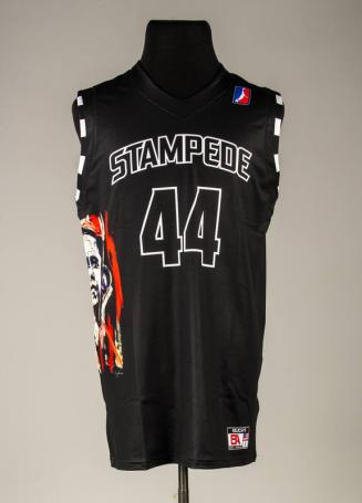 Idaho Stampede Basketball Jersey