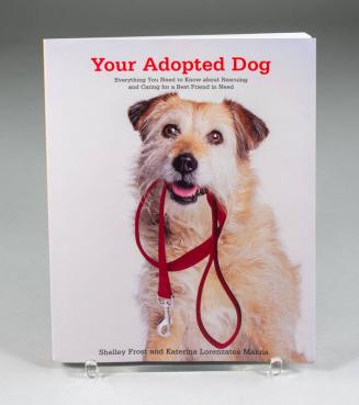 Your Adopted Dog