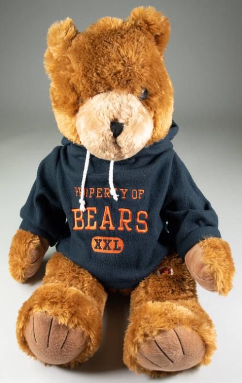 Chicago Bears Teddy Bear