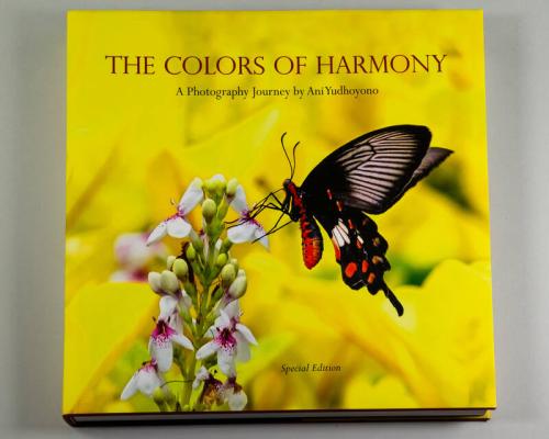 The Colors of Harmony: A Photography Journey by Ani Yudhoyono