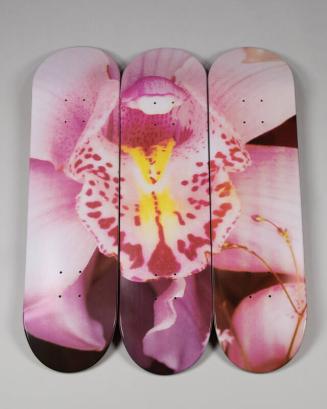 Skateboard Triptych of an Orchid