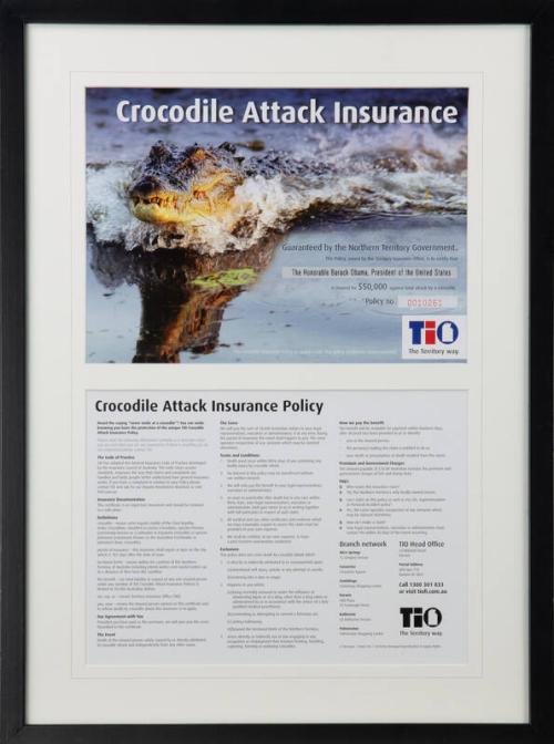 Crocodile Attack Insurance