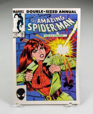 The Amazing Spider-Man Vol. 1 No. 19