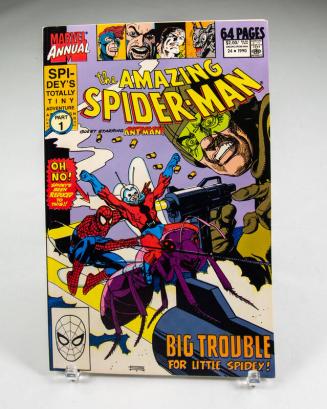 The Amazing Spider-Man Vol. 1 No. 24