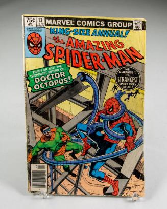 The Amazing Spider-Man Vol. 1 No. 13