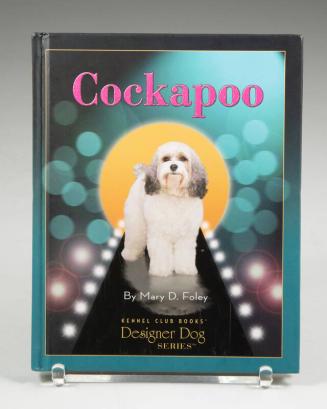 Cockapoo