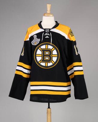 2011 Stanley Cup Champions Boston Bruins Hockey Jersey