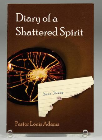 Diary of a Shattered Spirit