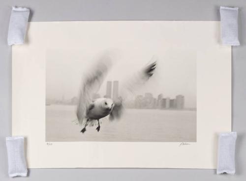 Photograph of the World Trade Center from Liberty Island