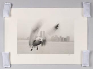 Photograph of the World Trade Center from Liberty Island