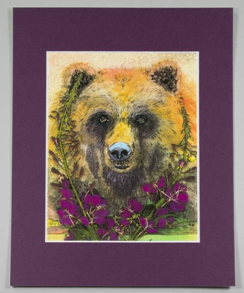 Denali Bear