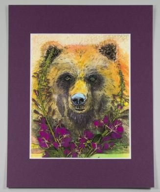 Denali Bear