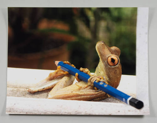 Image courtesy of the Barack Obama Presidential Library