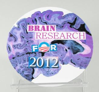 Brain Research for 2012 Magnet