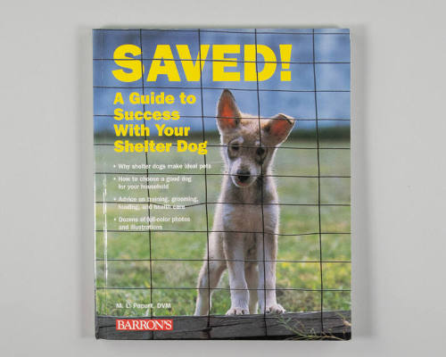 Image courtesy of the Barack Obama Presidential Library 