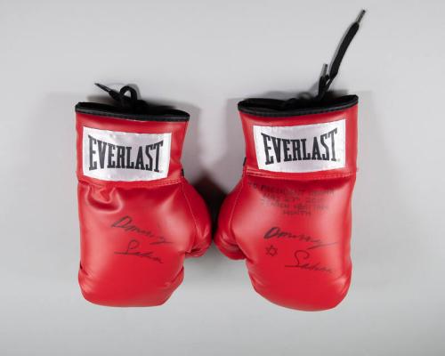 Signed Boxing Gloves