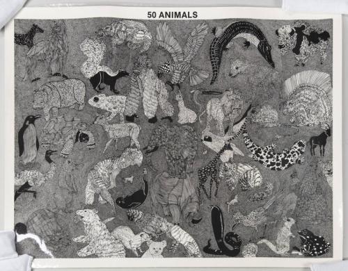 50 Animals