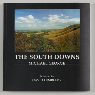 The South Downs