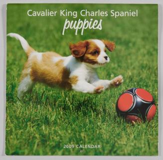 Cavalier King Charles Spaniel Puppies 2009 Calendar