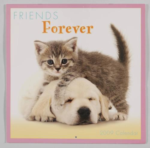 Friends Forever 2009 Calendar