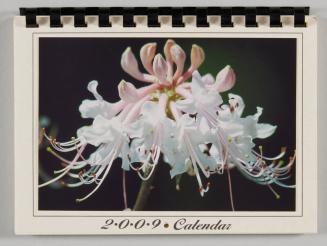 Native Azalea 2009 Calendar