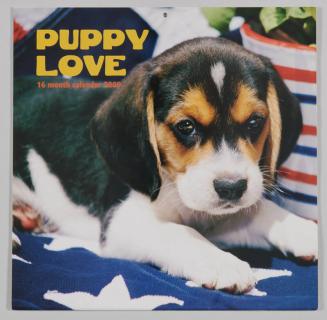 Puppy Love 2009 Calendar and Puzzle